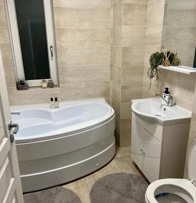 Vlaicu Residence-1