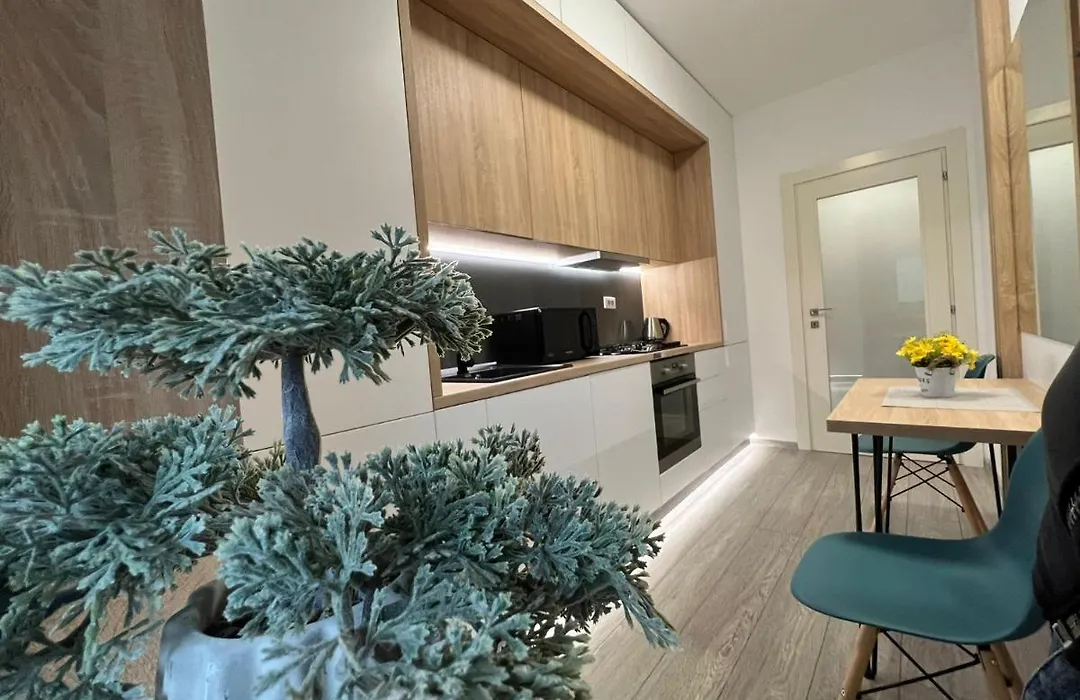 Perfect Host Palas Studio Central-1