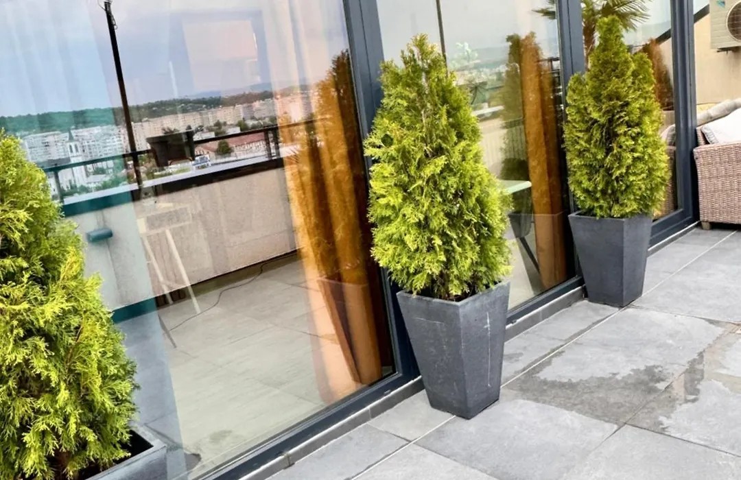 Penthouse Exclusive View , Iasi-1