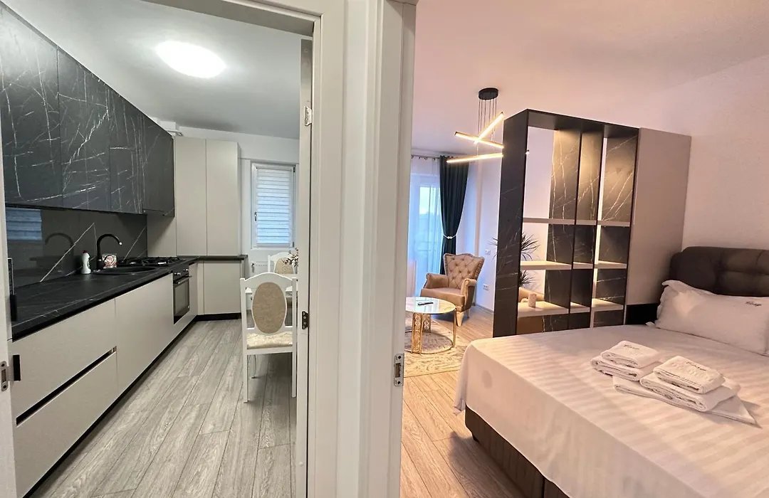 Cozy Urban Luxury Studios In Centre Of Iasi-1