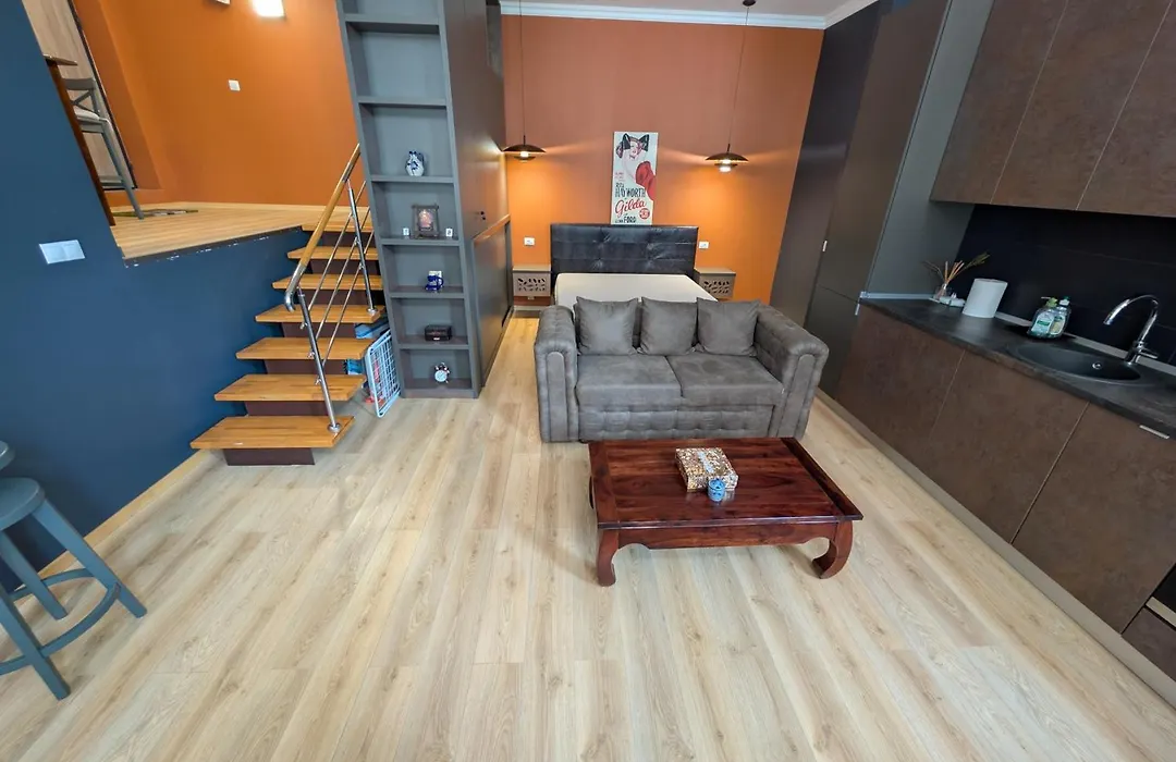 Central Apartment-1