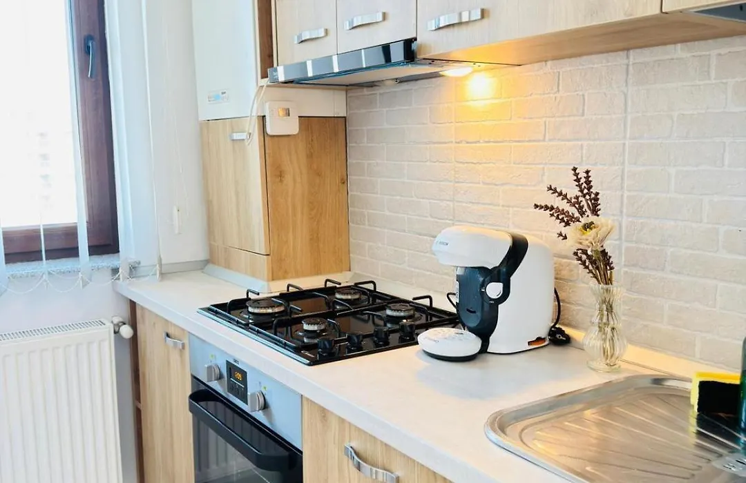 Cozy Deluxe Apartments In Centre Of Historical Iasi-1