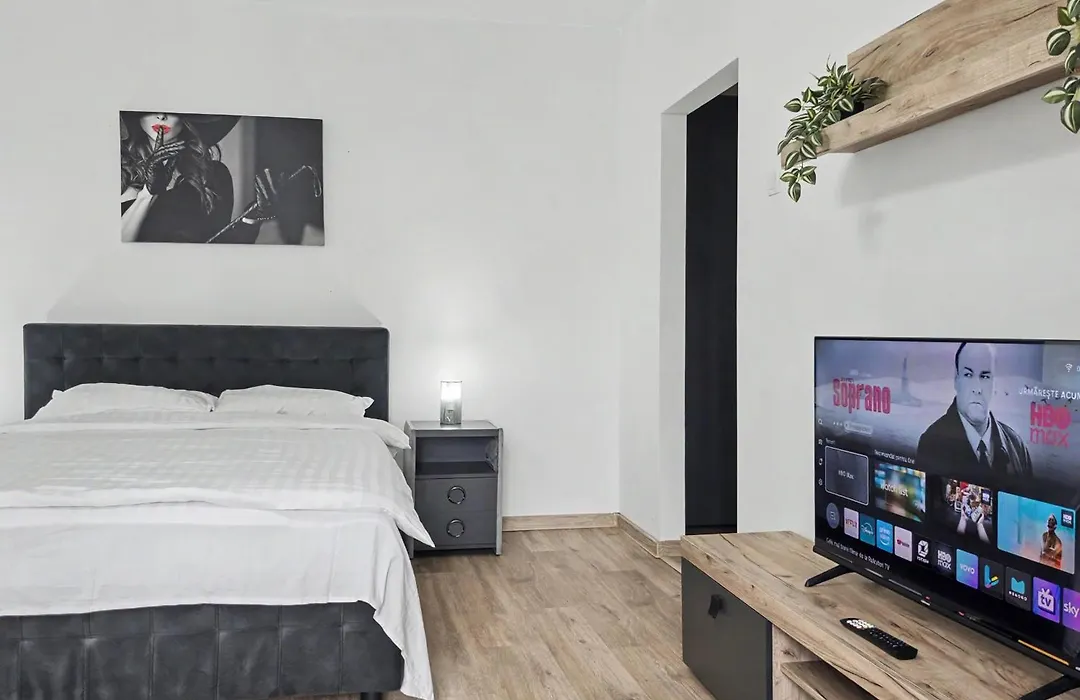 Konstanzer12 - Free Parking Apt - Ac-1
