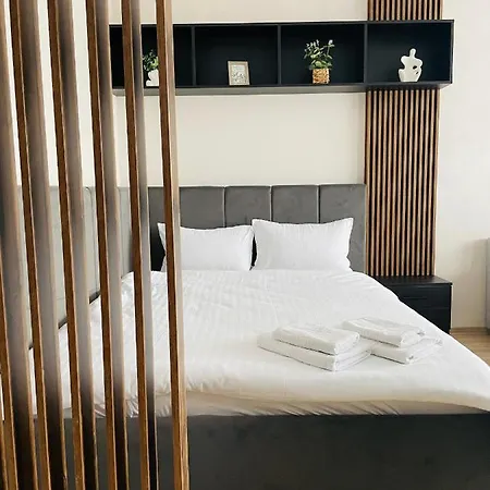 Room Apartment - Palas Center-2