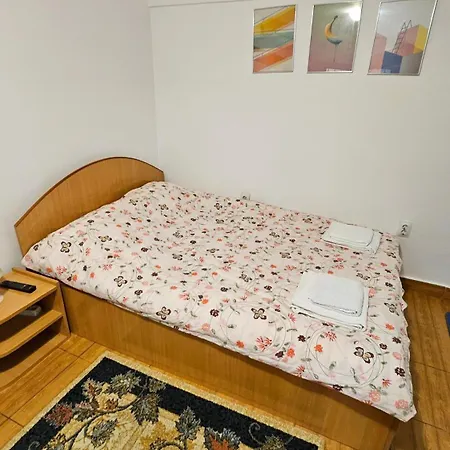 Ultracentral Lozonschi Apartament Parter-3