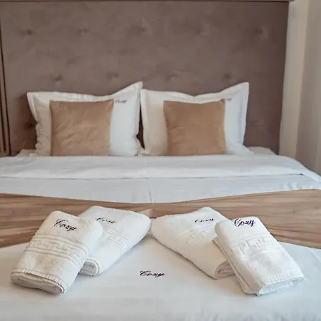 Cozy Palace Of Culture Dream Apartments And Studios Iasi-3