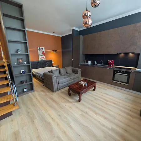 Central Apartment-2