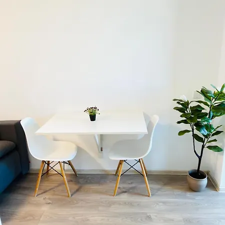 Cozy Deluxe Apartments In Centre Of Historical Iasi-2