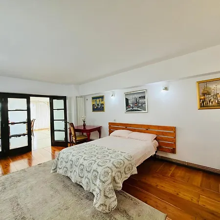 Spacious Apartment In City Centre-2