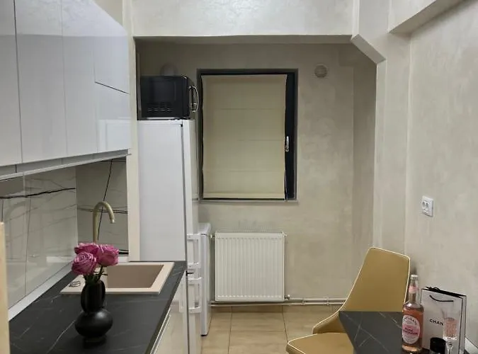 Central Apartament 2 Iasi