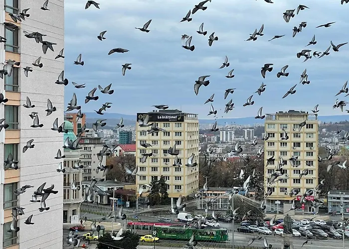Apartament SweetHome Piața Unirii Iasi