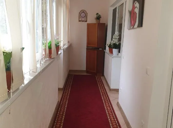 Alin Apartament Apartment Iasi