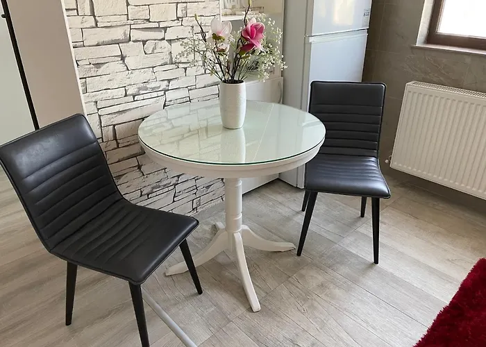 No. 110 / Downtown Apartment Iasi