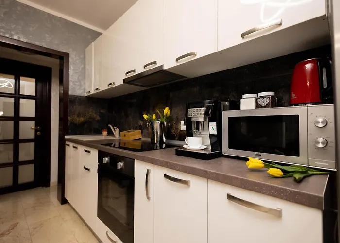 Central Apartament 3 Iasi