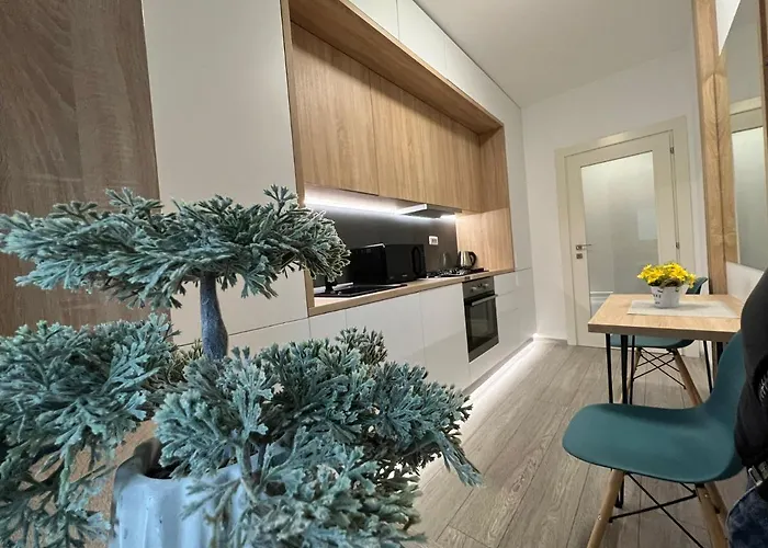 Perfect Host Palas Studio Central Iasi