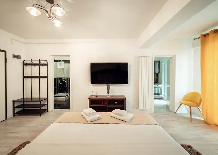 Cozy Amazing Cozy Studios In Iasi City