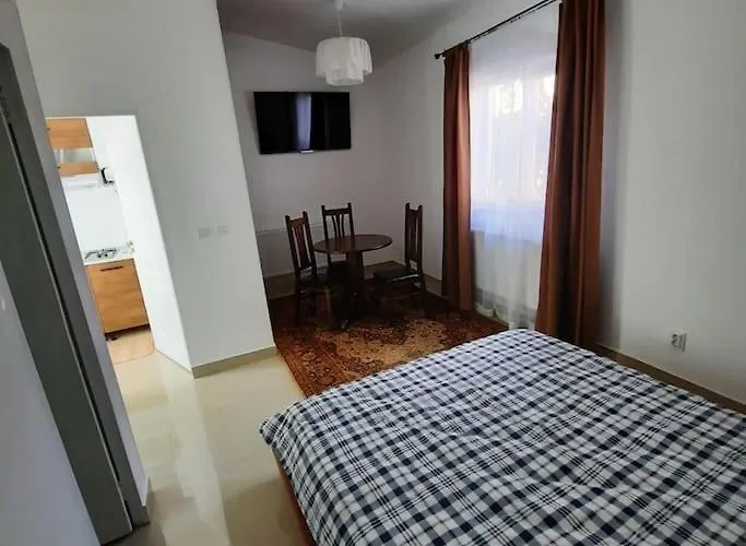 Apartament 2 In Zona Catedralei Mitropolitane Iasi