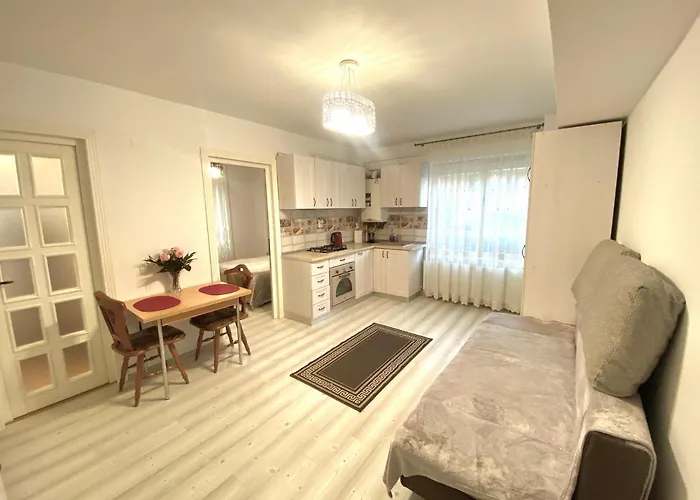 Apartament Sara Iasi