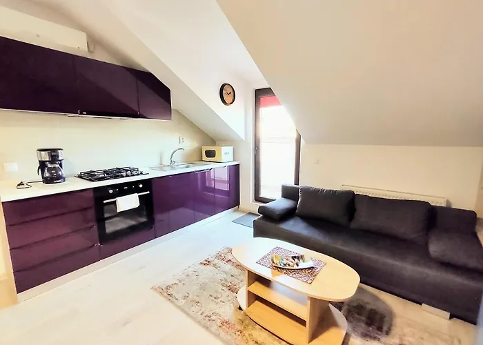 Simona Apartament Palas Mall Iasi