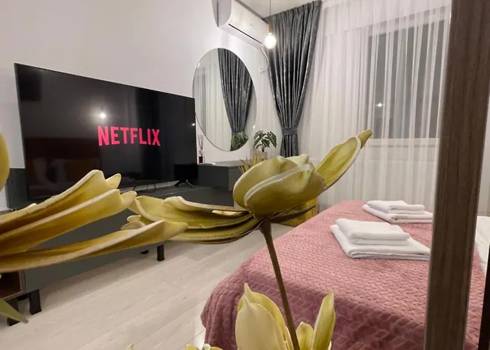 Palas Mall Perfect View Apartment Iasi
