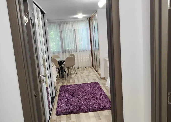 A2 One Room Apartament Iasi