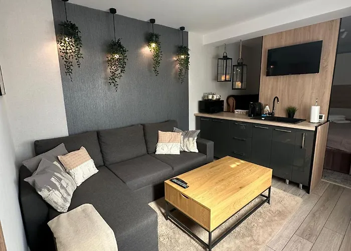 Luxury Studio Iasi