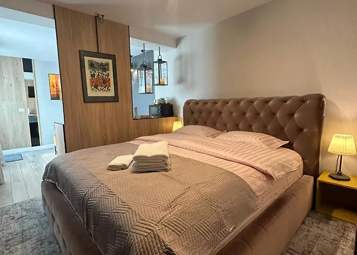 Luxury Studio Iasi
