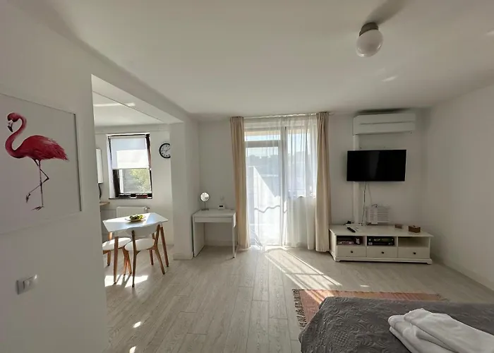 Amadeus Iasi Apartment