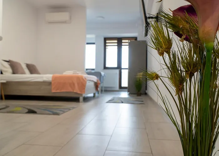 Studio Accommodation City Center Iasi