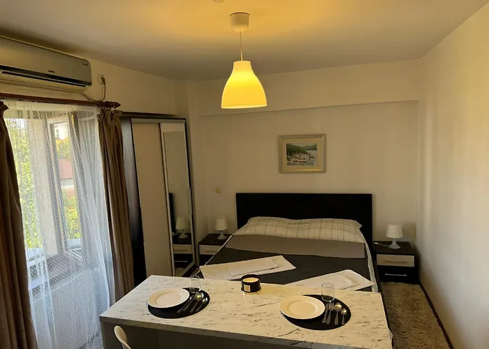 Palas Zen 23 Iasi