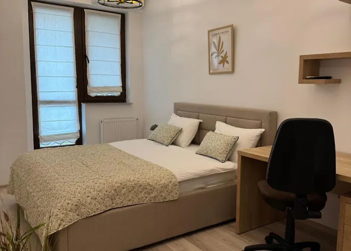 Luxury Studios Iasi