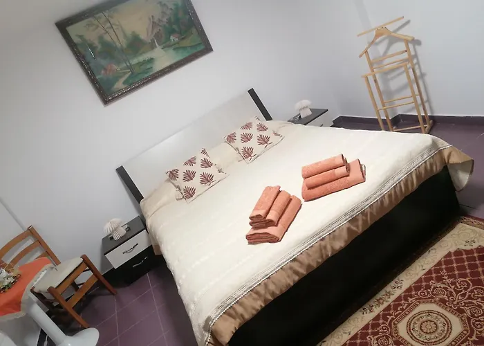 Casa Elena Apartment Iasi