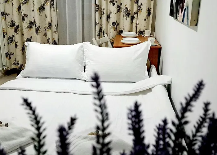 Isabell Home Pallas Iasi