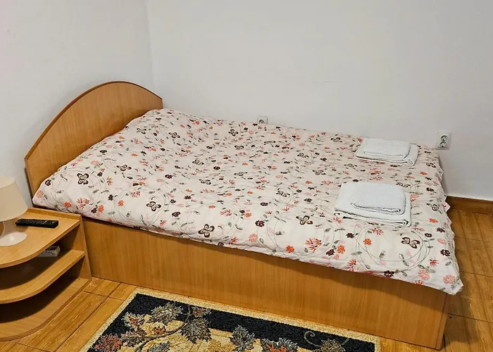 Ultracentral Lozonschi Apartament Parter Iasi