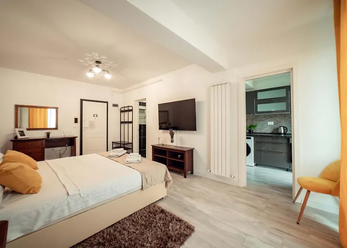 Cozy Central Lifestyle Apartments Iasi Palas