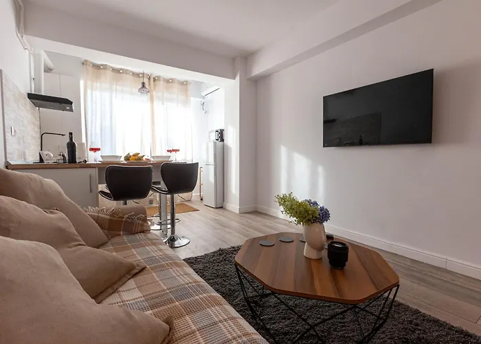 Free Parking Central Apartment Near Palace Of Culture & Palas Mall Iasi