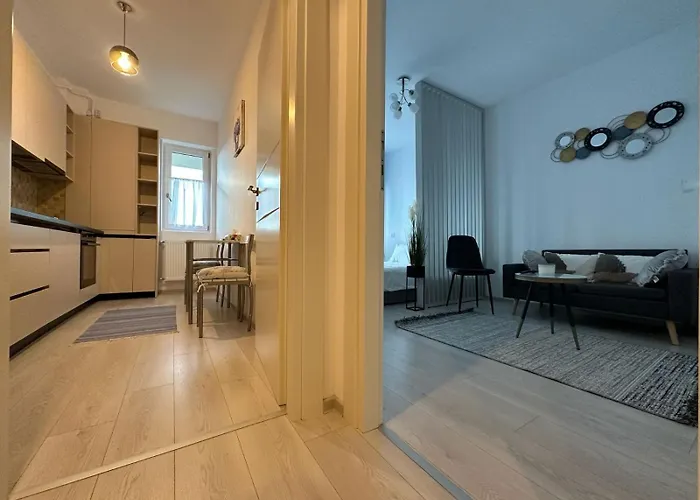 Cozy Studio Q Residence Iasi
