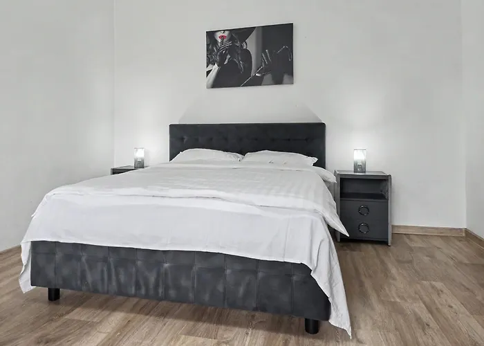 Konstanzer12 - Free Parking Apt - Ac Iasi