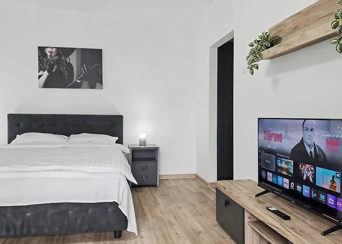 Konstanzer12 - Free Parking Apt - Ac Iasi