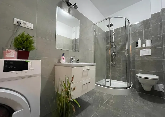 Luxury Charming Apartments Iasi