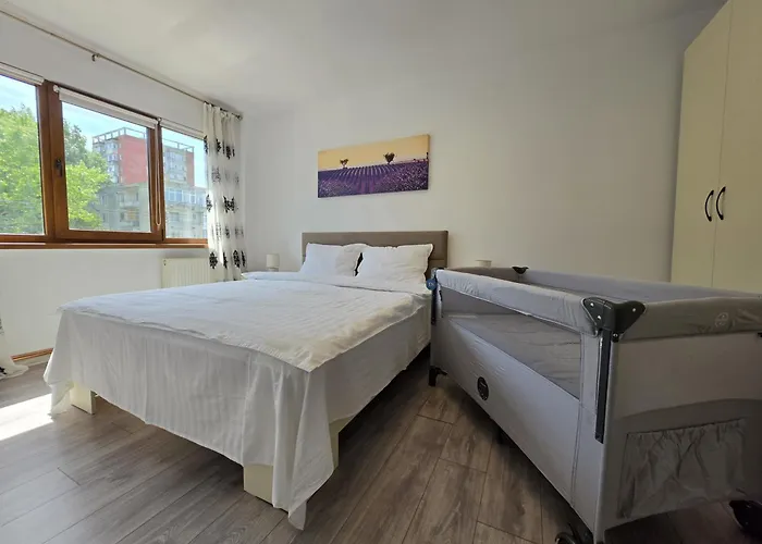 Konstanzer Podu Ros 11 - Spacious Apt - Palas Mall - Ac Iasi