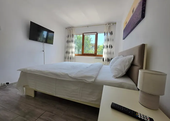 Konstanzer Podu Ros 11 - Spacious Apt - Palas Mall - Ac Iasi